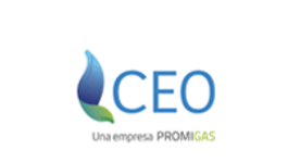 CEO